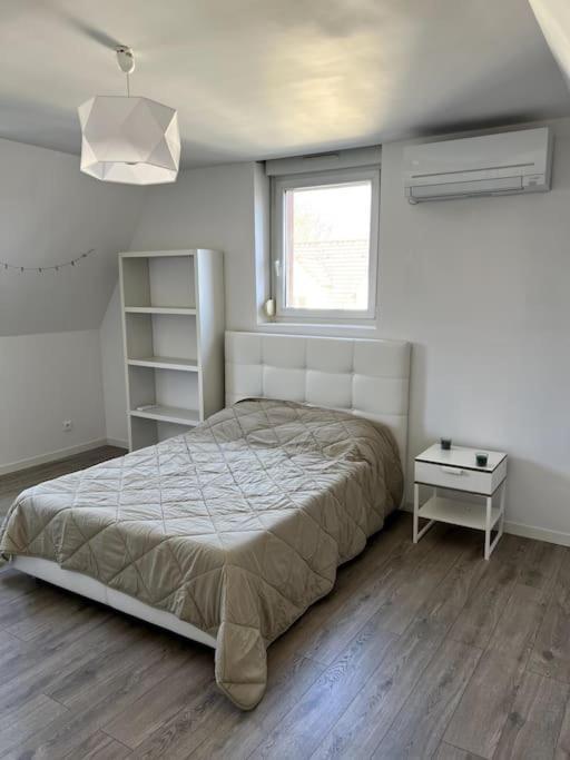 Appartement F5 Maison De Maitre Mulhouse Exteriör bild