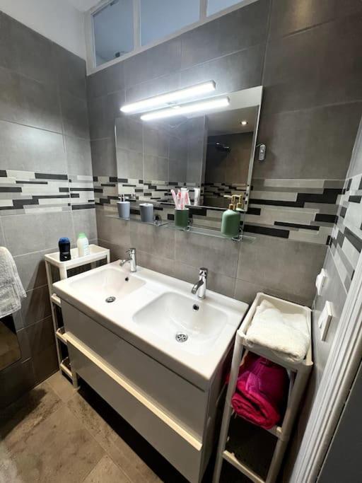 Appartement F5 Maison De Maitre Mulhouse Exteriör bild