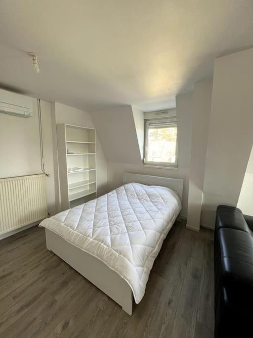 Appartement F5 Maison De Maitre Mulhouse Exteriör bild