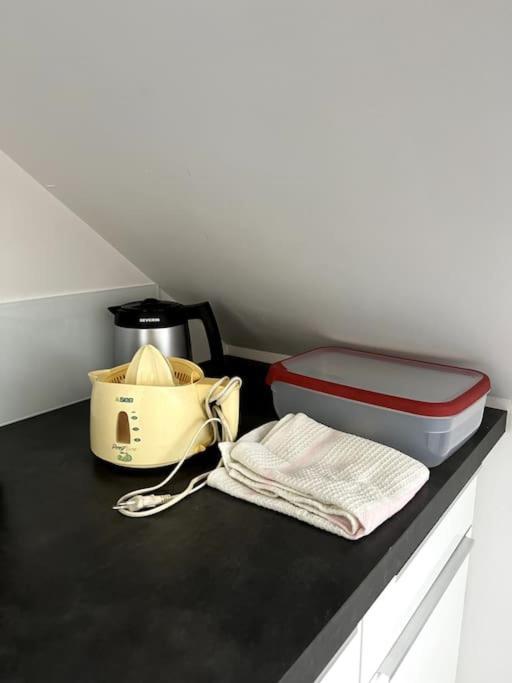 Appartement F5 Maison De Maitre Mulhouse Exteriör bild