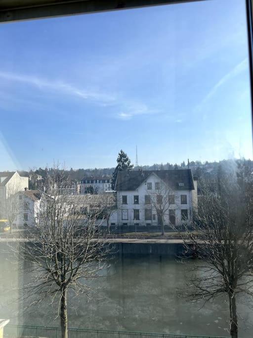 Appartement F5 Maison De Maitre Mulhouse Exteriör bild