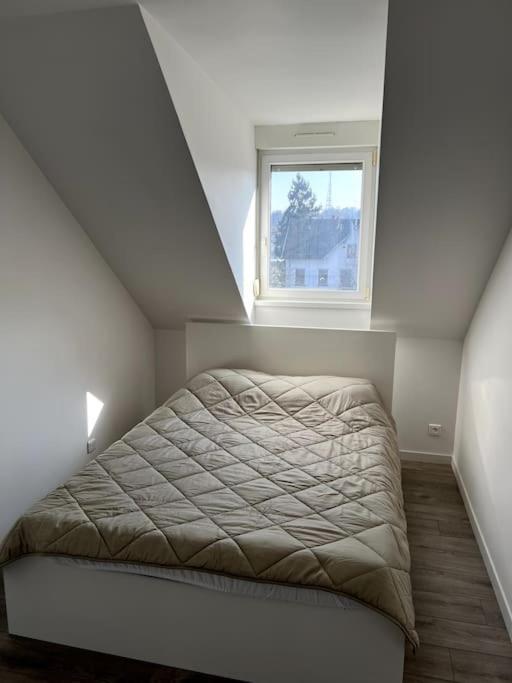 Appartement F5 Maison De Maitre Mulhouse Exteriör bild